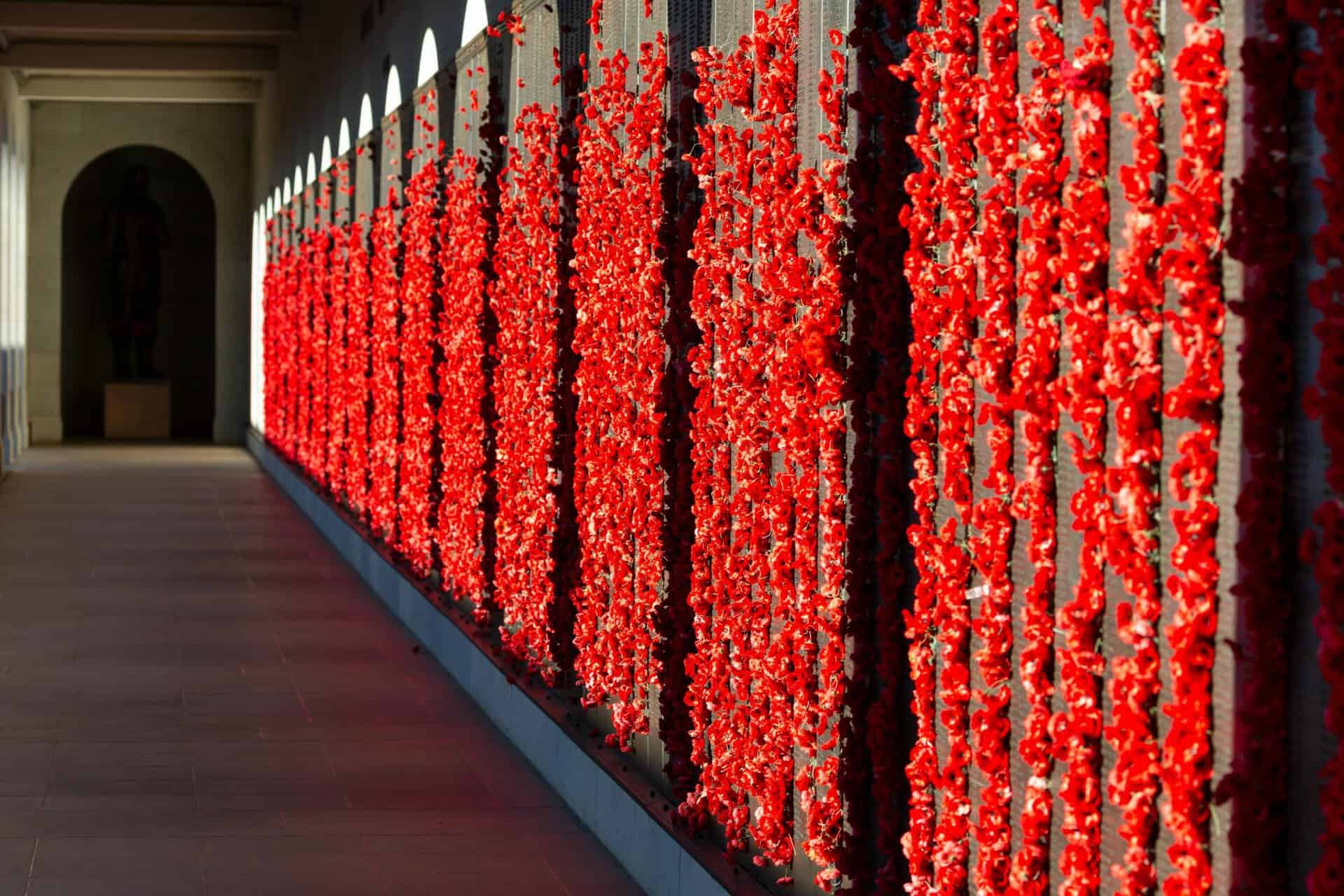 ANZAC DAY POPPY WAR MEMORIAL